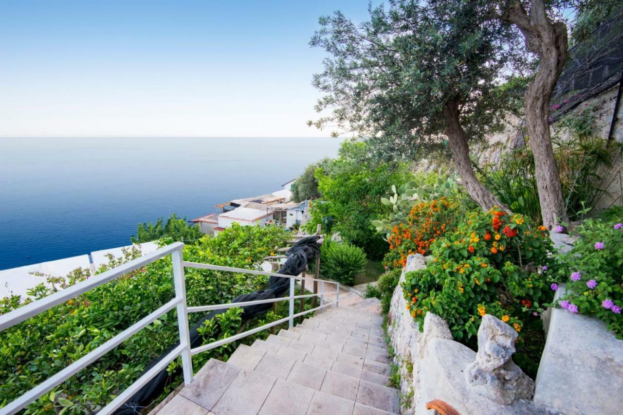Orleans Gasthof Amalfi